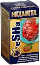 Hexamita_eSHa_Discus_Treatment