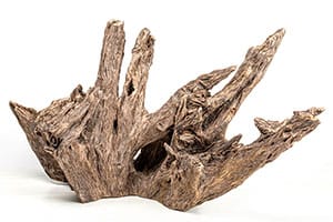 Peat Driftwood