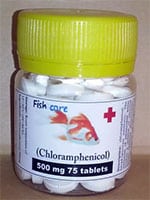 chloramphenicol