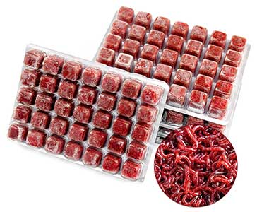 Frozen Bloodworms