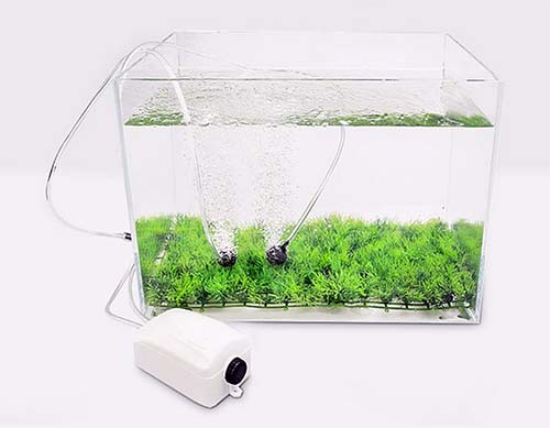 aquarium-air-pump