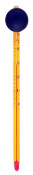 bulb thermometer
