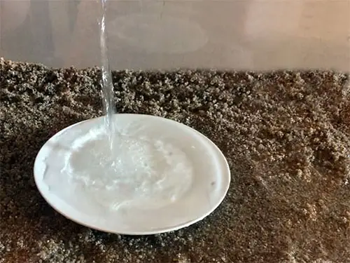 placing-saucer-on-the-aquarium-sand-and-pour-water
