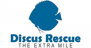 discus rescue logo