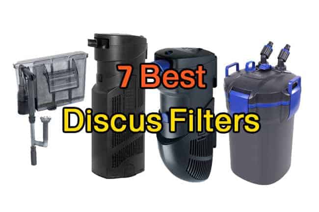 7 Best Discus tank Filter