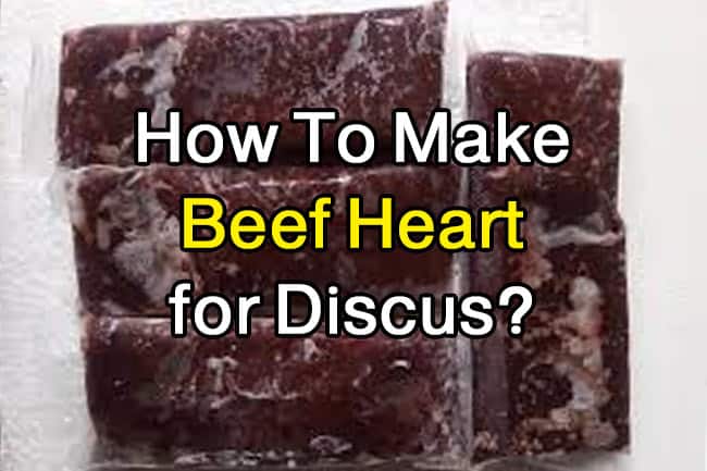 beef heart recipe and steps
